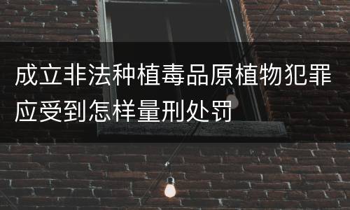 成立非法种植毒品原植物犯罪应受到怎样量刑处罚