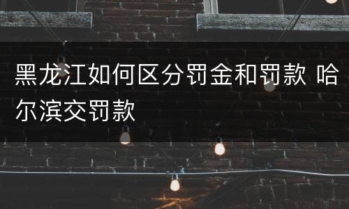 黑龙江如何区分罚金和罚款 哈尔滨交罚款
