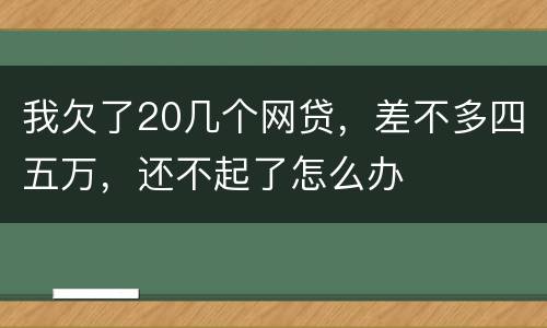 我欠了20几个网贷，差不多四五万，还不起了怎么办