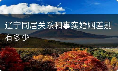 辽宁同居关系和事实婚姻差别有多少