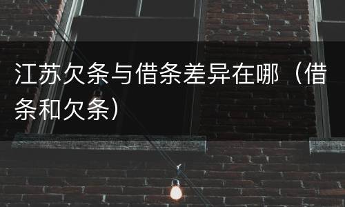 江苏欠条与借条差异在哪（借条和欠条）