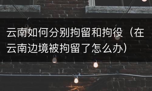 云南如何分别拘留和拘役（在云南边境被拘留了怎么办）