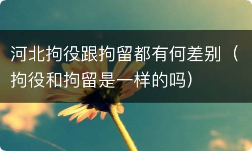 河北拘役跟拘留都有何差别（拘役和拘留是一样的吗）