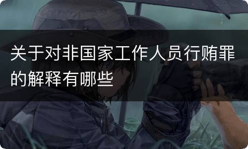 关于对非国家工作人员行贿罪的解释有哪些