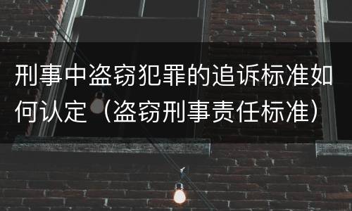 刑事中盗窃犯罪的追诉标准如何认定（盗窃刑事责任标准）