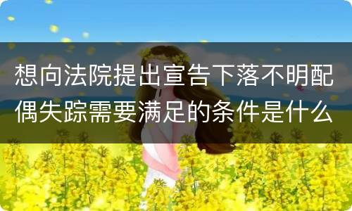 想向法院提出宣告下落不明配偶失踪需要满足的条件是什么
