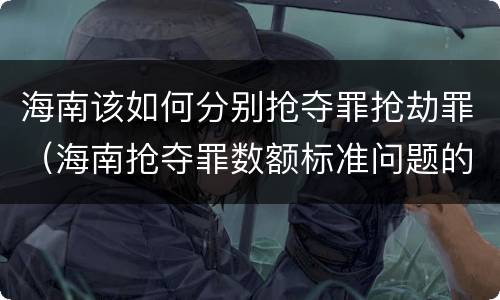 海南该如何分别抢夺罪抢劫罪（海南抢夺罪数额标准问题的规定）