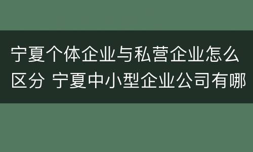 宁夏个体企业与私营企业怎么区分 宁夏中小型企业公司有哪些