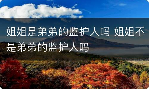 姐姐是弟弟的监护人吗 姐姐不是弟弟的监护人吗