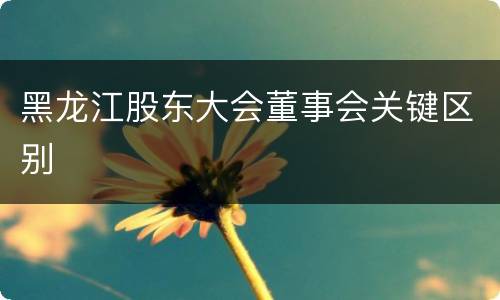 黑龙江股东大会董事会关键区别