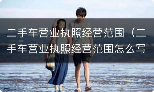 二手车营业执照经营范围（二手车营业执照经营范围怎么写个人）