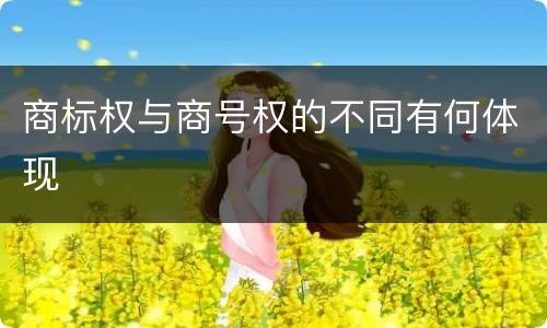 商标权与商号权的不同有何体现