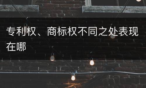 专利权、商标权不同之处表现在哪