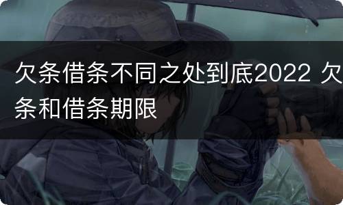 欠条借条不同之处到底2022 欠条和借条期限