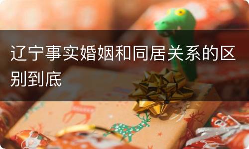 辽宁事实婚姻和同居关系的区别到底