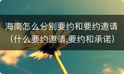 海南怎么分别要约和要约邀请（什么要约邀请,要约和承诺）
