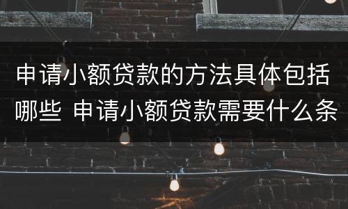 申请小额贷款的方法具体包括哪些 申请小额贷款需要什么条件