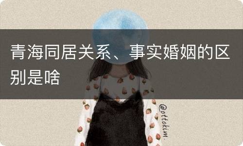 青海同居关系、事实婚姻的区别是啥