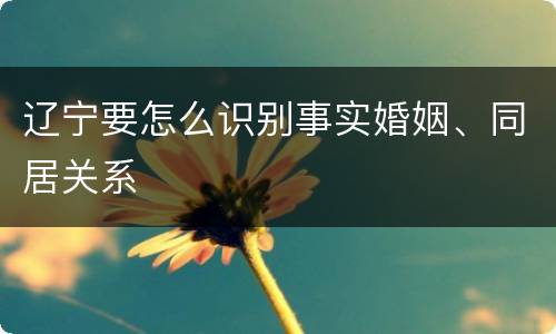 辽宁要怎么识别事实婚姻、同居关系