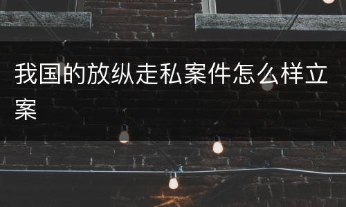 我国的放纵走私案件怎么样立案