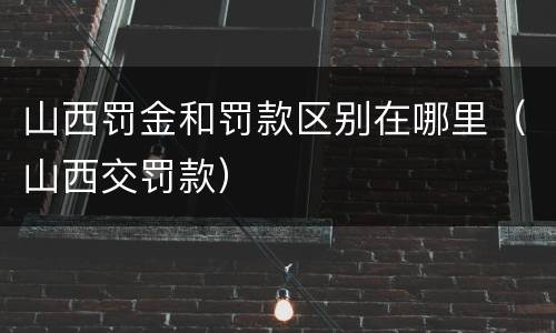 山西罚金和罚款区别在哪里（山西交罚款）