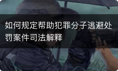 如何规定帮助犯罪分子逃避处罚案件司法解释