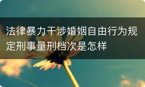 法律暴力干涉婚姻自由行为规定刑事量刑档次是怎样