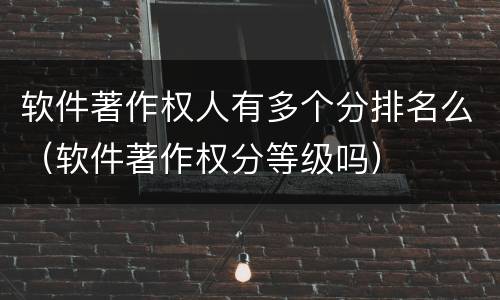 软件著作权人有多个分排名么（软件著作权分等级吗）