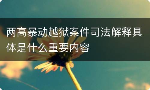 两高暴动越狱案件司法解释具体是什么重要内容