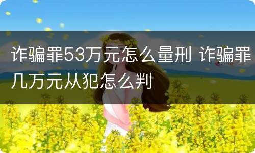 诈骗罪53万元怎么量刑 诈骗罪几万元从犯怎么判