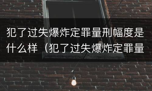 犯了过失爆炸定罪量刑幅度是什么样（犯了过失爆炸定罪量刑幅度是什么样子的）