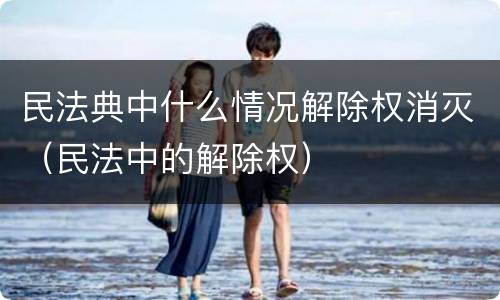 民法典中什么情况解除权消灭（民法中的解除权）