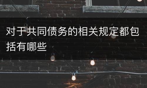 对于共同债务的相关规定都包括有哪些