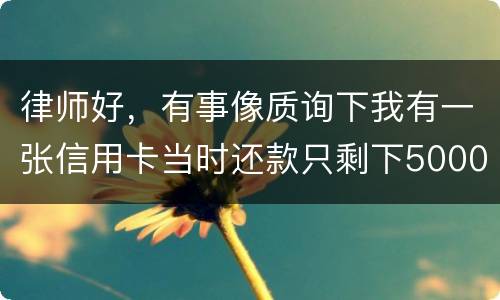 律师好，有事像质询下我有一张信用卡当时还款只剩下5000现在升到20000怎么办