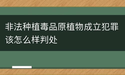 非法种植毒品原植物成立犯罪该怎么样判处