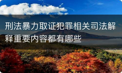 刑法暴力取证犯罪相关司法解释重要内容都有哪些