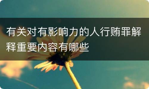 有关对有影响力的人行贿罪解释重要内容有哪些