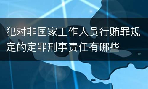 犯对非国家工作人员行贿罪规定的定罪刑事责任有哪些