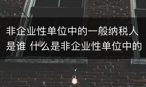 非企业性单位中的一般纳税人是谁 什么是非企业性单位中的一般纳税人
