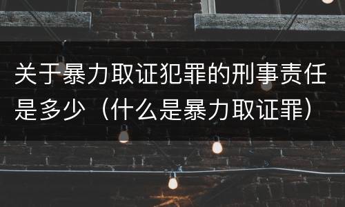 关于暴力取证犯罪的刑事责任是多少（什么是暴力取证罪）