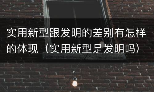 实用新型跟发明的差别有怎样的体现（实用新型是发明吗）