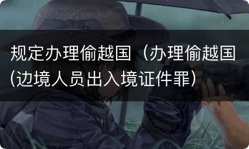 规定办理偷越国（办理偷越国(边境人员出入境证件罪）