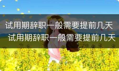 试用期辞职一般需要提前几天 试用期辞职一般需要提前几天申请