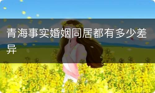 青海事实婚姻同居都有多少差异