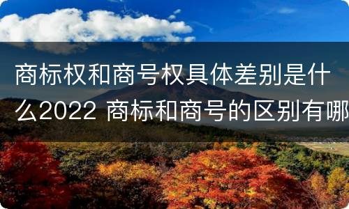 商标权和商号权具体差别是什么2022 商标和商号的区别有哪些?