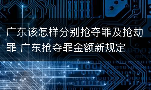 广东该怎样分别抢夺罪及抢劫罪 广东抢夺罪金额新规定