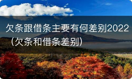欠条跟借条主要有何差别2022（欠条和借条差别）