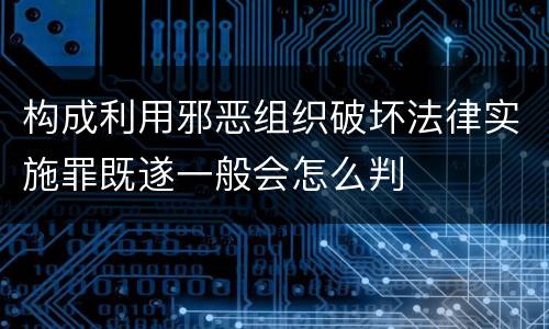 构成利用邪恶组织破坏法律实施罪既遂一般会怎么判