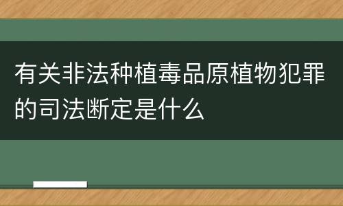 有关非法种植毒品原植物犯罪的司法断定是什么