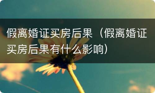假离婚证买房后果（假离婚证买房后果有什么影响）